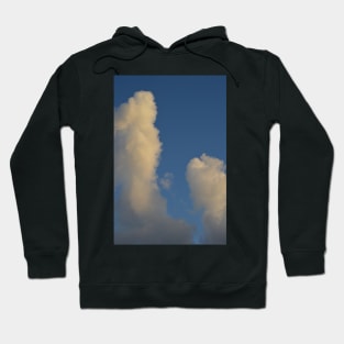 Smoke Cloud Hoodie